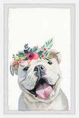 Jolly Puppy