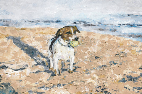 Dog's Playground