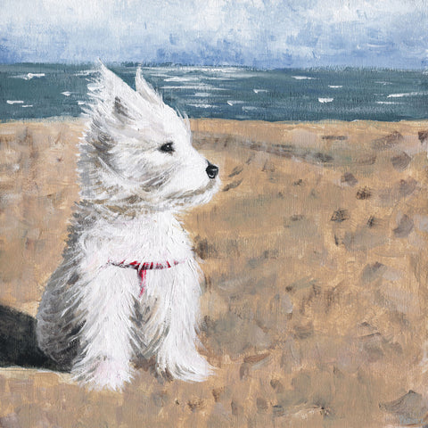 Enjoying the Wind