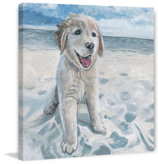 Dog Haven