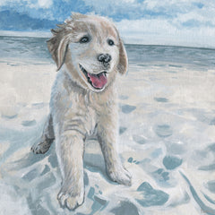Dog Haven