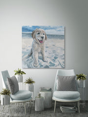 Dog Haven