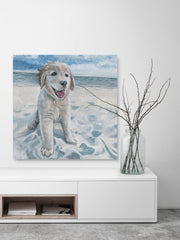 Dog Haven