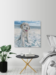 Dog Haven