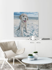 Dog Haven