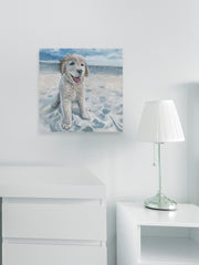 Dog Haven