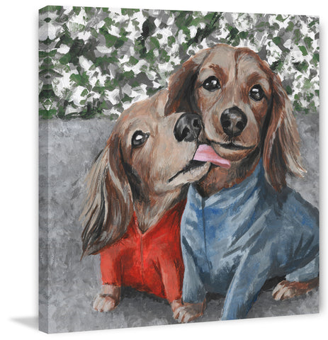 Fashion Dogs