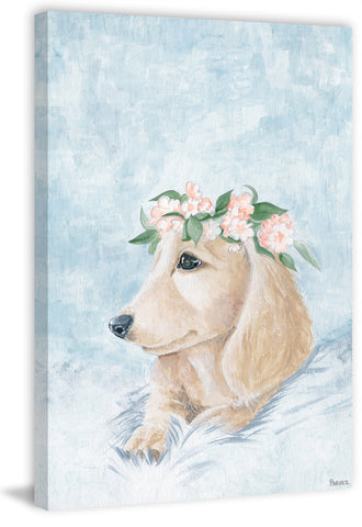 Pretty Dog