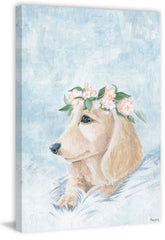Pretty Dog