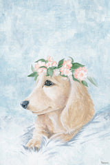 Pretty Dog