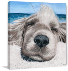 Relaxing Dog