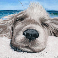 Relaxing Dog