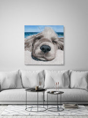 Relaxing Dog