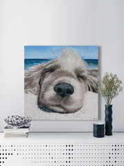 Relaxing Dog