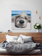 Relaxing Dog
