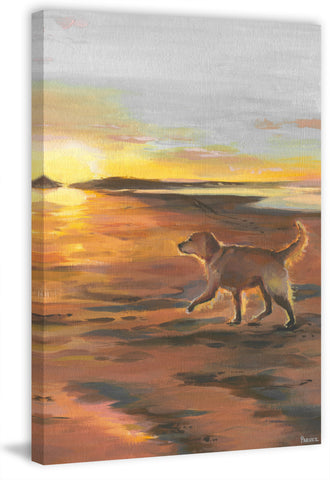 Follow the Sunset