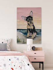 Cute Little Dog