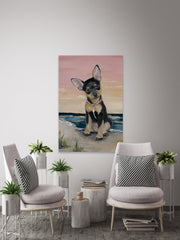 Cute Little Dog