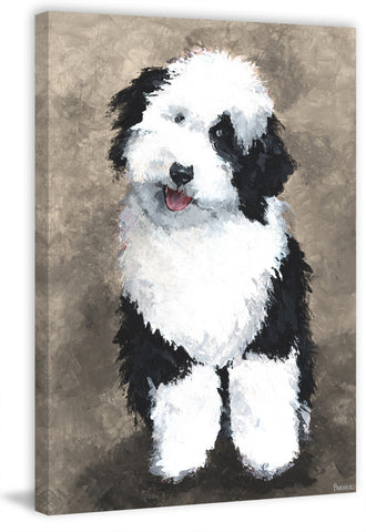 Cute Furry Dog