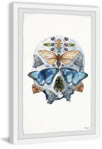 Half Butterfly Skull