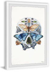 Half Butterfly Skull