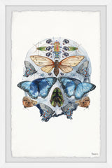 Half Butterfly Skull