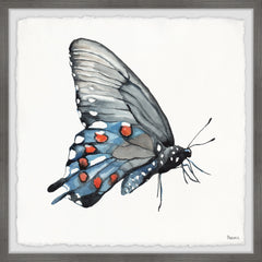 Dotted Butterfly