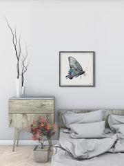 Dotted Butterfly