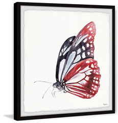 Big Red Butterfly