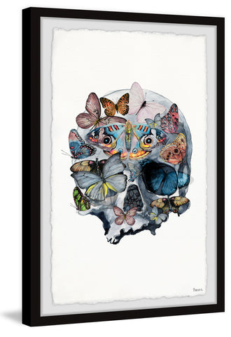 Magnificent Butterfly Skull