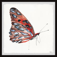 Tiger Butterfly