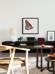 Tiger Butterfly