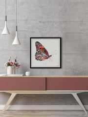 Tiger Butterfly