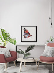 Tiger Butterfly