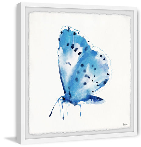 Big Blue Butterfly