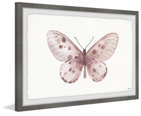Pink Rose Butterfly