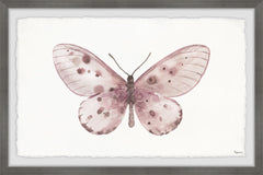Pink Rose Butterfly
