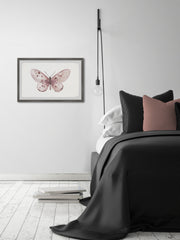 Pink Rose Butterfly