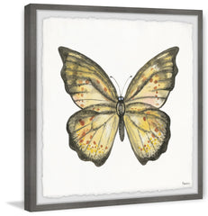 Big Yellow Mariposa