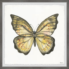 Big Yellow Mariposa