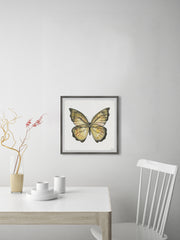 Big Yellow Mariposa