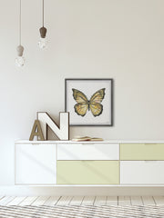 Big Yellow Mariposa