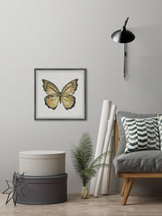 Big Yellow Mariposa
