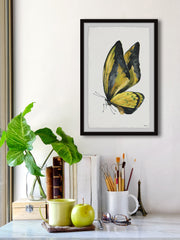 Black and Yellow Mariposa