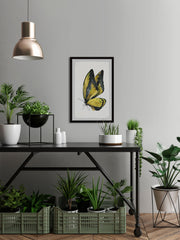Black and Yellow Mariposa