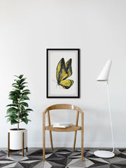 Black and Yellow Mariposa