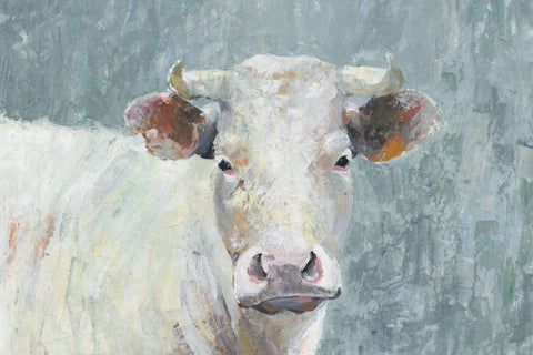 Innocent Cow