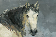 Dark-Haired Horse