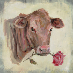 Romantic Cow