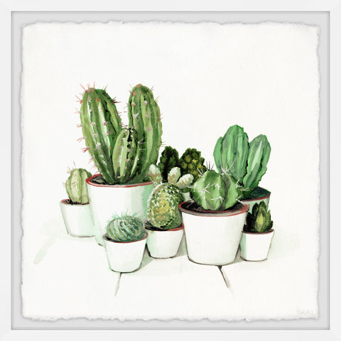 Cactus Clan